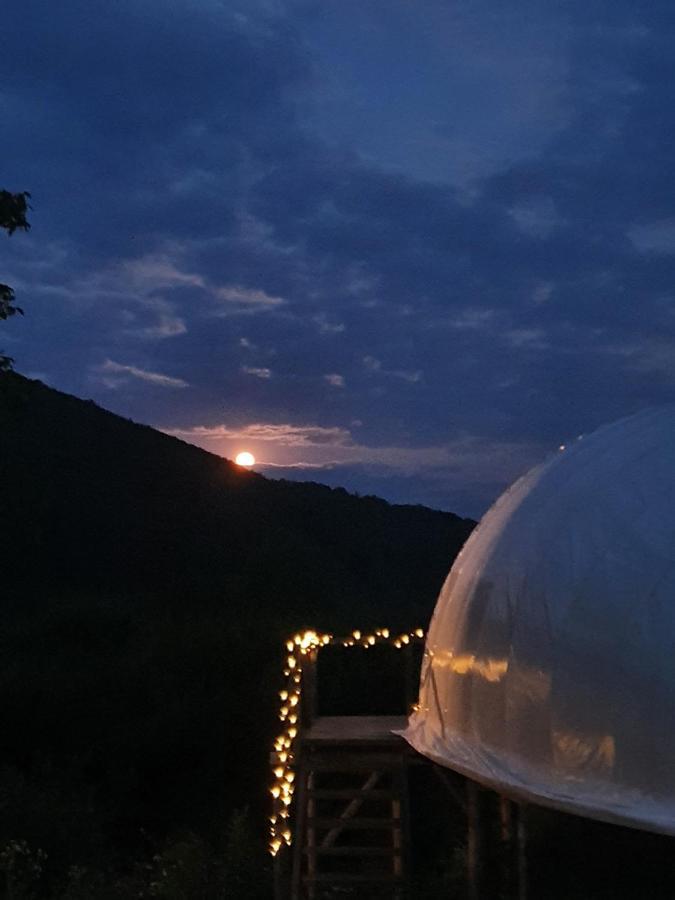 Sunrise Glamping Retreat Hotell Galesu Exteriör bild
