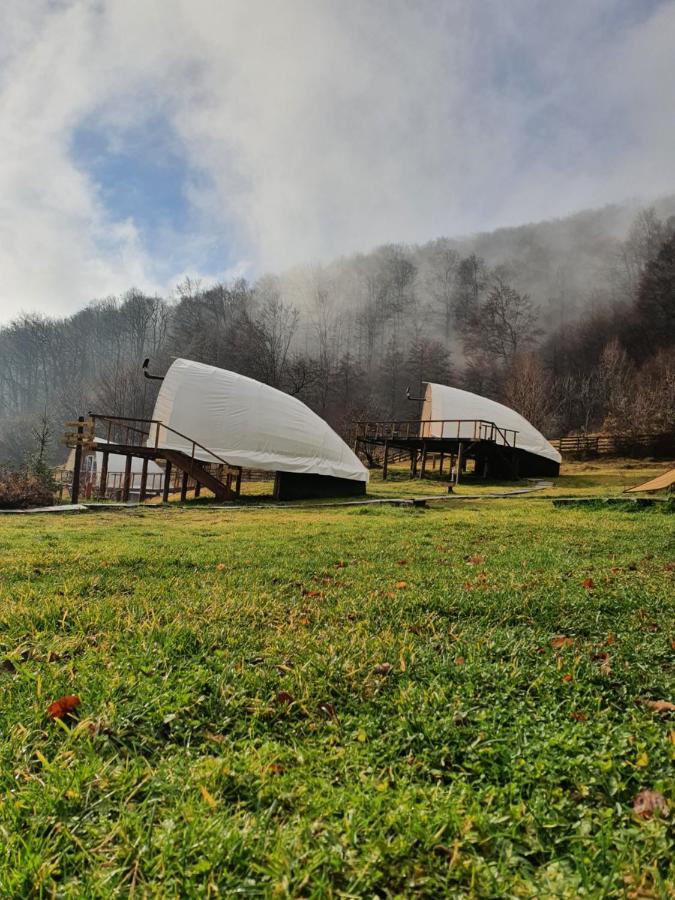 Sunrise Glamping Retreat Hotell Galesu Exteriör bild
